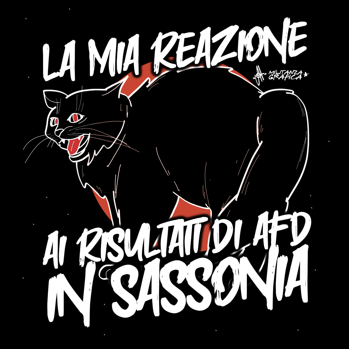 AFD Sassonia